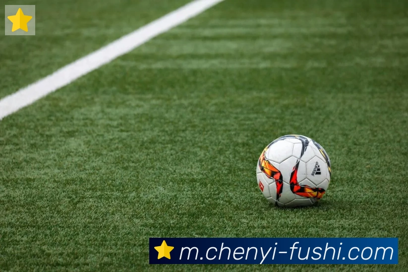 九游j9官网首页登录APP 封面图